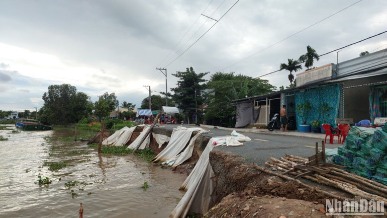 Sạt lở đất kênh Rạch Giá-Long Xuyên ảnh hưởng đến nhiều hộ dân.