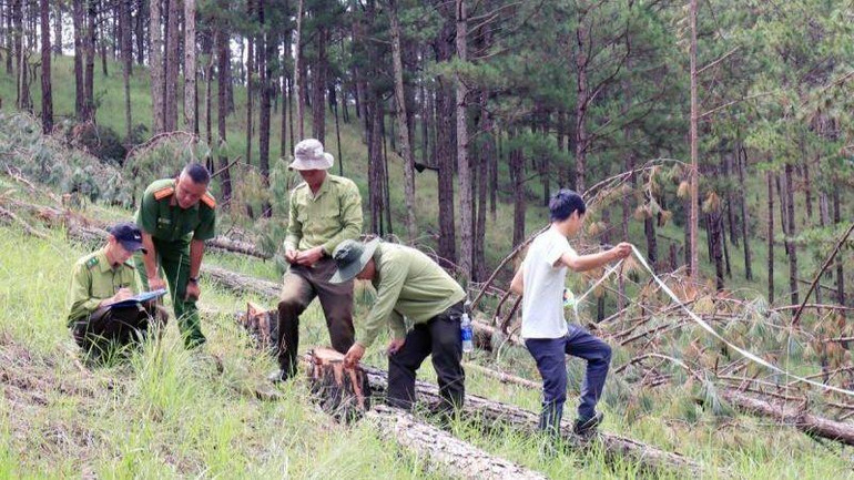 Cơ quan chức năng khám nghiệm hiện trường vụ phá rừng tại tiểu khu 144B.