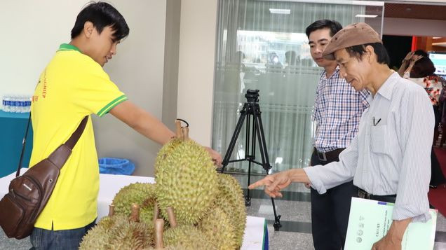 Đại biểu tham quan gian trưng bày quả sầu riêng tại diễn đàn. Đại biểu tham quan gian trưng bày quả sầu riêng tại diễn đàn.