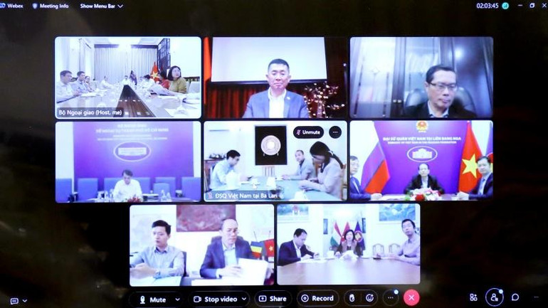 Cuộc họp trực tuyến của Ban Chỉ đạo lần thứ nhất.