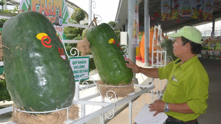 Bộ sưu tập trái cây khổng lồ tại Lễ hội trái cây Nam Bộ 2023.