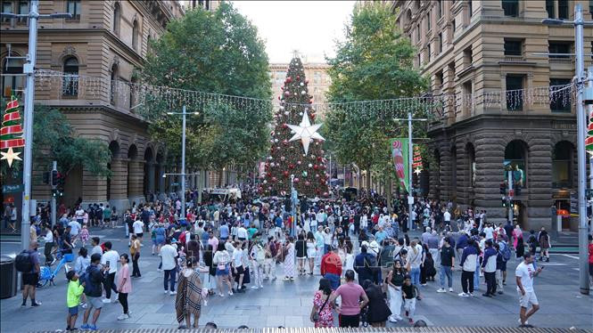 Quảng trường Martin Place (Sydney, Australia), nơi đặt cây thông Giáng sinh lớn, được trang trí với ánh đèn và phụ kiện lấp lánh. (Ảnh: Lê Đạt/PV TTXVN tại Australia)