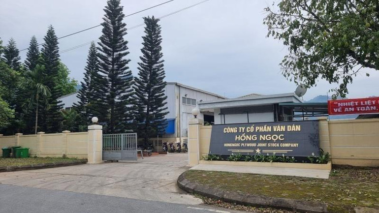 Tài sản dự án nhà máy chế biến gỗ của Công ty đã được bán phát mại cho Công ty TNHH sản xuất và thương mại Hồng Ngọc.