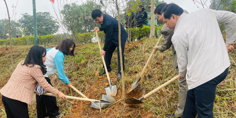 Nhiều loại cây cũng được Hội Liên hiệp phụ nữ tỉnh Phú Thọ phát động trồng tại Khu di tích lịch sử Đền Hùng.