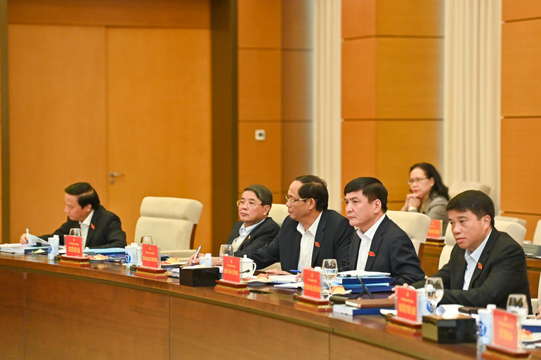 Các Phó Chủ tịch Quốc hội, Ủy viên Thường vụ Quốc hội dự buổi làm việc.