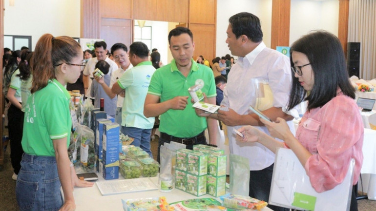 Bộ phận thu mua của Central Retail trao đổi thông tin về quy trình vào hàng siêu thị đối với các nhà cung cấp tiềm năng với sản phẩm nho, mủ trôm của tỉnh Ninh Thuận. Bộ phận thu mua của Central Retail trao đổi thông tin về quy trình vào hàng siêu thị đối với các nhà cung cấp tiềm năng với sản phẩm nho, mủ trôm của tỉnh Ninh Thuận.