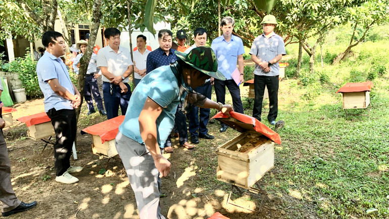 Giám đốc Trung tâm Khuyến nông quốc gia thăm mô hình nuôi ong lấy mật của gia đình ông Nguyễn Hữu Tương, thôn Khe Giao.