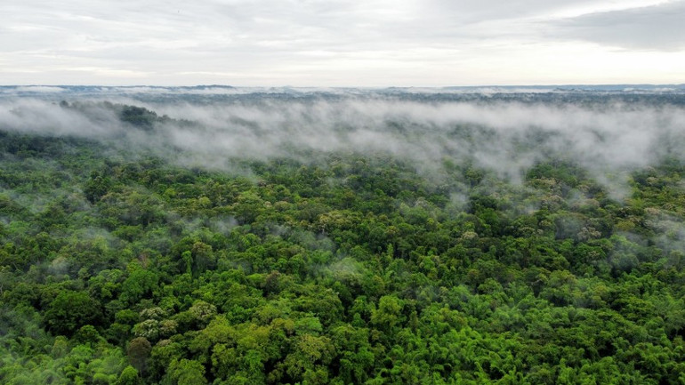 Vườn Quốc gia Cát Tiên. (Ảnh: Khiếu Minh)