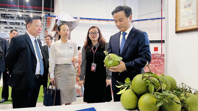 Lãnh đạo tỉnh Yamaguchi và lãnh đạo Tổng Công ty Becamex IDC tham quan gian hàng triển lãm sản phẩm OCOP tỉnh Bình Dương.