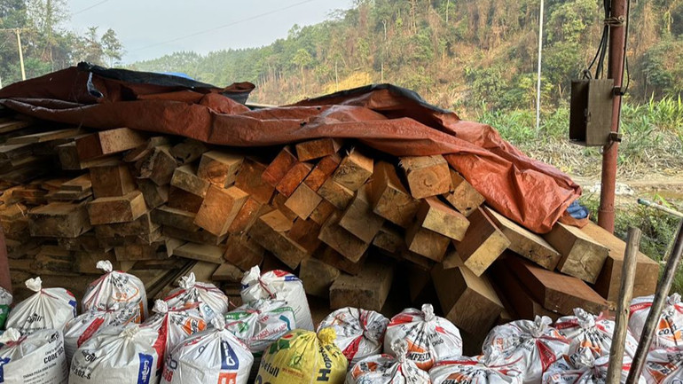 Nhiều gỗ xẻ dạng thanh trong nhà tôn.