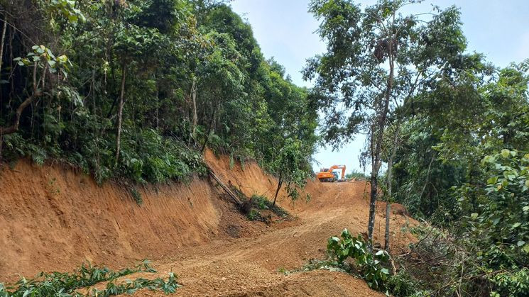 Thi công đường lâm nghiệp tại huyện Pác Nặm. (Ảnh: TUẤN SƠN). Thi công đường lâm nghiệp tại huyện Pác Nặm. (Ảnh: TUẤN SƠN).