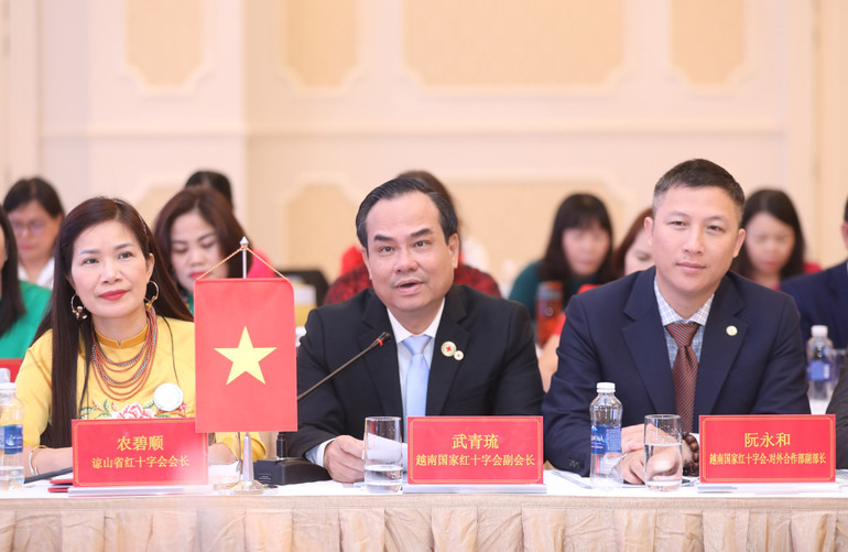 Phó Chủ tịch Hội Chữ thập đỏ Việt Nam Vũ Thanh Lưu phát biểu tại Hội đàm.