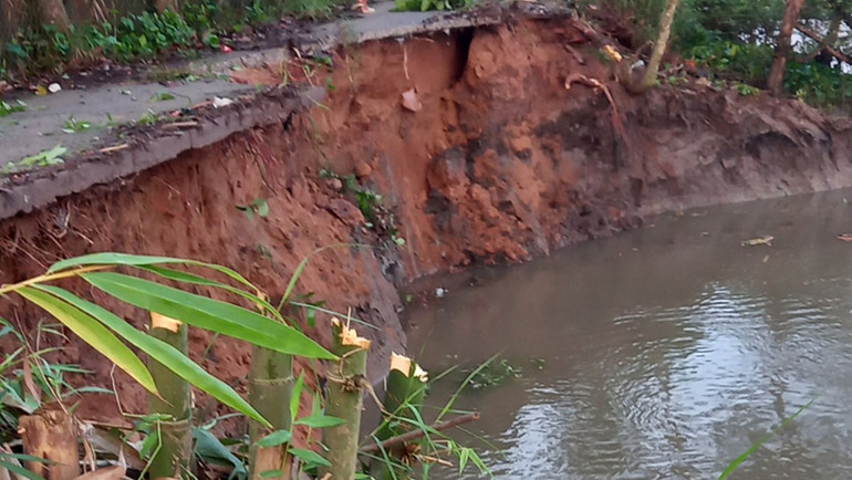 Sạt lở đất bờ kênh Mái Dầm, đoạn thuộc ấp Phú Trí B1, xã Phú Hữu, huyện Châu Thành (Hậu Giang)