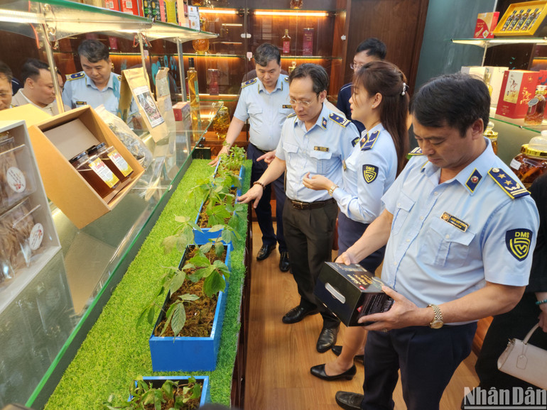 Thông qua mở cửa phòng trưng bày các sản phẩm sâm Ngọc Linh sẽ giúp người tiêu dùng nâng cao nhận diện trong việc chọn mua các sản phẩm từ sâm Ngọc Linh.