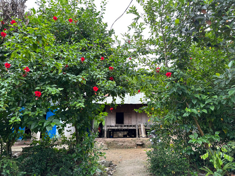 Khung cảnh nên thơ ở làng Tăk Chươm.