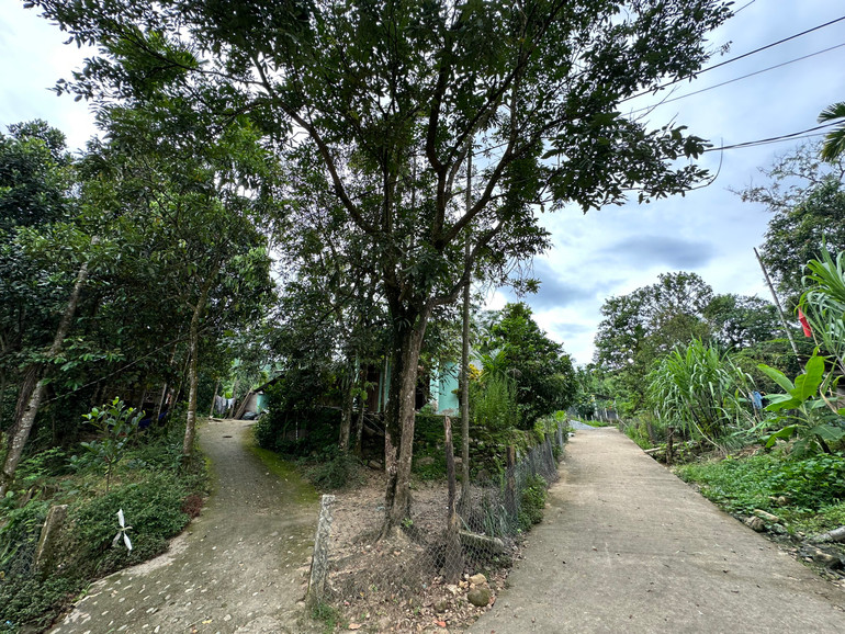 Đường đi lối lại tại xã Tăk Chươm phong quang sạch đẹp.