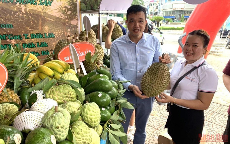Các doanh nghiệp xuất khẩu tìm hiểu về trái cây của Đắk Lắk được trưng bày tại hội nghị. Thúc đẩy kết nối giao thương giữa Tây Nguyên với các doanh nghiệp xuất khẩu -0