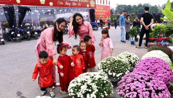 Nhiều gia đình ghi lại khoảnh khắc giữa không gian hoa xuân rực rỡ.