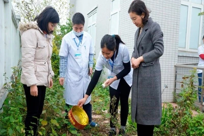 Cán bộ y tế hướng dẫn người dân trên địa bàn thành phố Hà Nội dọn dẹp vệ sinh, bảo vệ môi trường, phòng, chống sốt xuất huyết.