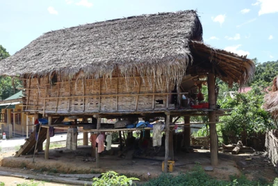 Bản Búng và bản Cò Phạt của xã biên giới Môn Sơn có tổng số 243 hộ dân; trong đó có 235 hộ nghèo, chiếm tỷ lệ 96,7%.