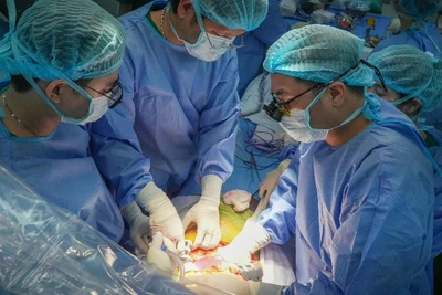 Với việc hoàn tất chuyển giao kỹ thuật ghép gan, Bệnh viện Quân y 175 trở thành cơ sở y tế thứ 8 trong cả nước thực hiện độc lập kỹ thuật này, đồng thời là trung tâm ghép tạng hàng đầu của Quân đội tại khu vực phía nam.