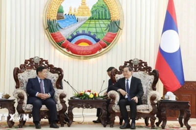 Thủ tướng Lào Sonexay Siphandone tiếp Phó Thủ tướng Nguyễn Chí Dũng. (Ảnh: Xuân Tú/TTXVN)