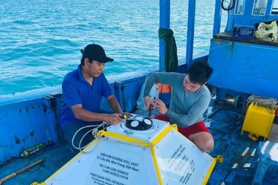 Lắp đặt thiết bị quan trắc sóng và dòng chảy (Signature 500) tại Vịnh Nha Trang, tỉnh Khánh Hòa. (Ảnh HIẾU THỊNH)