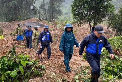 Lãnh đạo xã Trà Tân, thành phố Đà Nẵng đi kiểm tra tình hình sạt lở trên địa bàn.