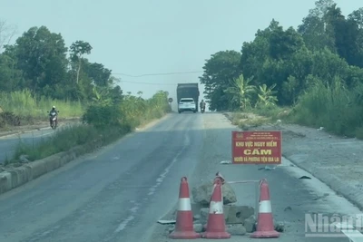 Dù có hiệu lệnh cấm, xe chở cát vẫn chạy vào đường bị sạt ta-luy âm tại khu công nghiệp Âu Lâu, cần xử lý nghiêm. (Ảnh: THANH SƠN)