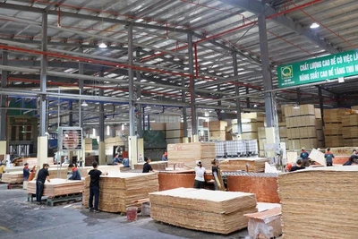 Nhà máy sản xuất gỗ xuất khẩu của Công ty trách nhiệm hữu hạn Sao Việt tại Khu công nghiệp Long Bình An, tỉnh Tuyên Quang.