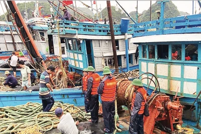 Lực lượng Bộ đội Biên phòng thành phố Hải Phòng hướng dẫn ngư dân chằng buộc tàu thuyền tại nơi tránh trú bão số 3. (Ảnh: HỒNG VINH)