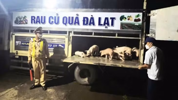 Xe ô tô tải mang biển kiểm soát 49C-21489 bị lực lượng cảnh sát giao thông, Công an tỉnh Đắk Lắk dừng lại để kiểm tra. (Ảnh: CTV)