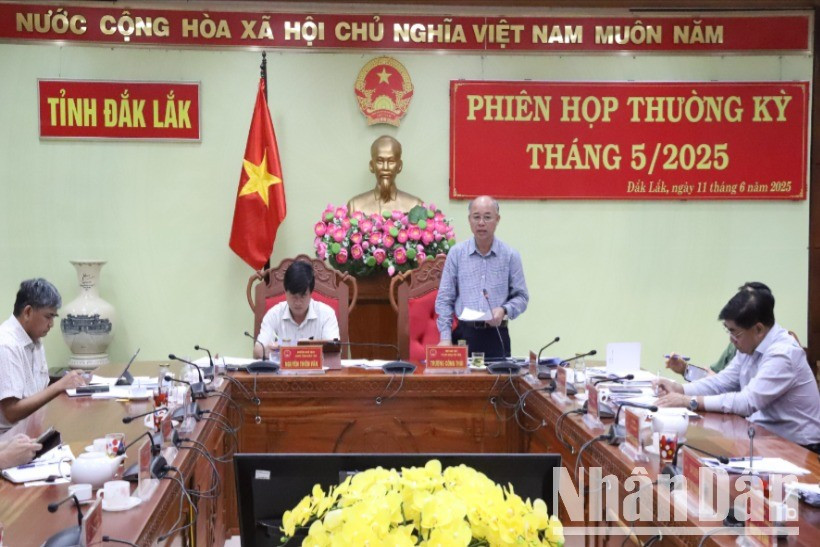 Phó Chủ tịch Ủy ban nhân dân tỉnh Đắk Lắk Trương Công Thái phát biểu tại phiên họp thường kỳ tháng 5/2025. img-9877-2333.jpg