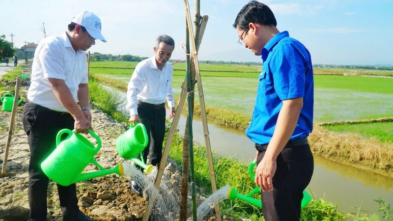 Trồng cây xanh tạo cảnh quan, bóng mát 4.jpg
