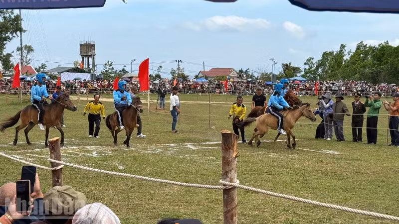 Các "kỵ sĩ nông dân” và “kỵ mã thồ hàng” tham gia hội đua.