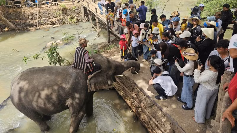 Đông đảo du khách đến tham quan, vui chơi tại Trung tâm du lịch cầu treo Buôn Đôn.