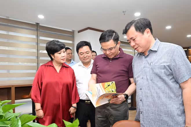 Việc đưa Không gian Văn hóa đọc ngành công thương vào hoạt động là một trong những giải pháp cụ thể để triển khai tinh thần Nghị quyết số 80-NQ/TW của Bộ Chính trị về phát triển văn hóa Việt Nam,