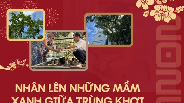 Nhân lên những mầm xanh giữa trùng khơi