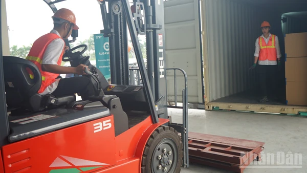 Sinh viên ngành logistics Trường Cao đẳng Hàng hải và Đường thủy 1 trong giờ thực hành mô phỏng. (Ảnh: TRUNG HƯNG)