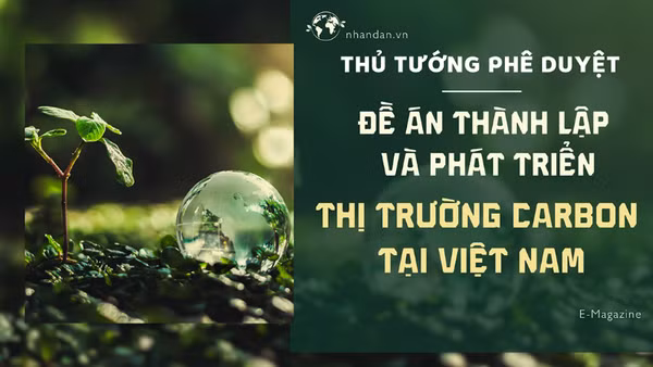 Thủ tướng phê duyệt Đề án thành lập và phát triển thị trường carbon tại Việt Nam