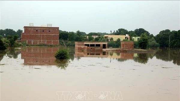 Cảnh ngập lụt tại Multan, Pakistan. (Ảnh: THX/TTXVN)