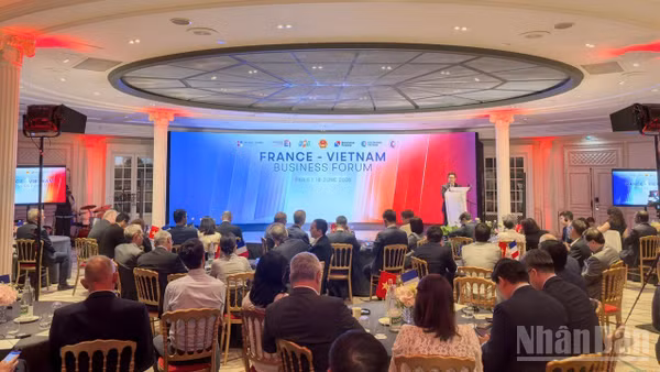 Toàn cảnh Diễn đàn Doanh nghiệp Việt Nam-Pháp 2026. (Ảnh: KHẢI HOÀN)