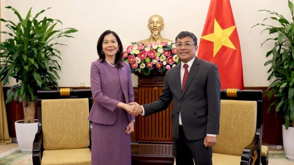 Thứ trưởng Thường trực Ngoại giao Nguyễn Minh Vũ và Điều phối viên thường trú Liên hợp quốc tại Việt Nam Pauline Tamesis. (Ảnh: Báo Thế giới và Việt Nam)