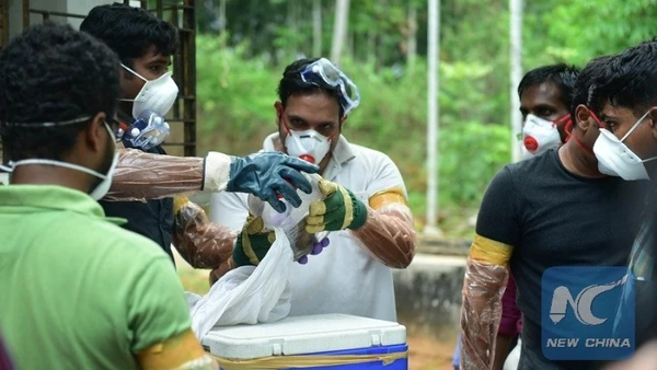 Nhân viên y tế tiến hành thu thập, kiểm nghiệm mẫu vật trong bối cảnh dịch virus Nipah bùng phát tại Kozhikode, bang Kerala, miền nam Ấn Độ, ngày 21/5/2018. (Ảnh: Xinhua)
