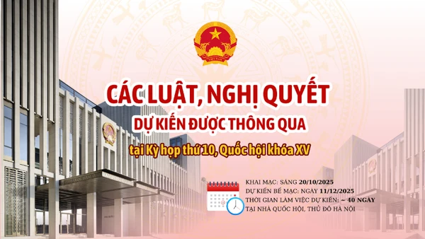 [Infographic] Các luật, nghị quyết dự kiến được thông qua tại Kỳ họp thứ 10, Quốc hội khóa XV