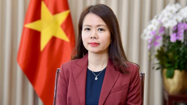 Thứ trưởng Ngoại giao Nguyễn Minh Hằng. (Ảnh: Báo Thế giới và Việt Nam)