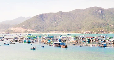 Đường bờ biển dài 192 km là nền tảng để Lâm Đồng mở hướng phát triển thủy sản. Ảnh: Khiếu Minh