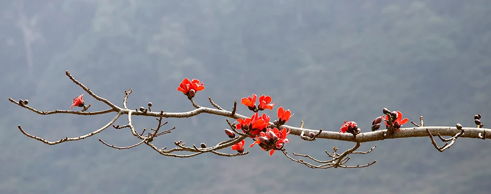 Ảnh: ANH QUÂN
