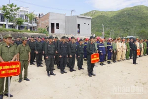 Các lực lượng trực tiếp tham gia chiến dịch.