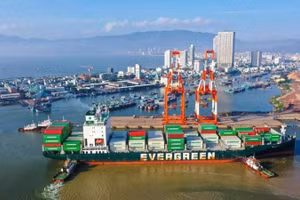 Sản xuất công nghiệp chế biến, chế tạo tiếp tục duy trì vị thế dẫn dắt, đóng góp chủ yếu vào mức tăng trưởng GRDP 8,21% của tỉnh Gia Lai trong 6 tháng đầu năm 2026.